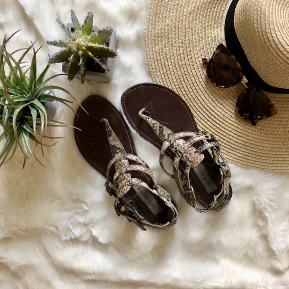 Steve Madden Shoes - Steve Madden Snakeskin Printed Gladiator Sandal